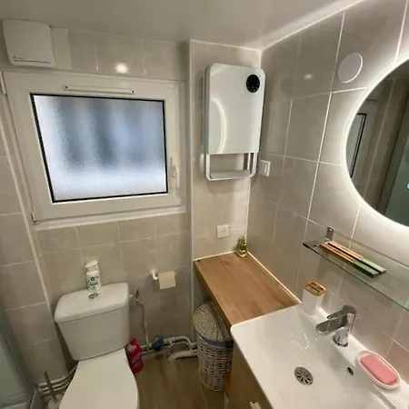 Appartement Le Nid Sacre, Climatise, Proche Gare Centre, Arena